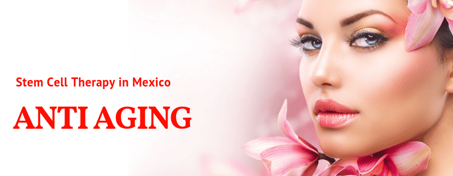 Stem Cell Therapy for Anti Aging Packages in Mexico